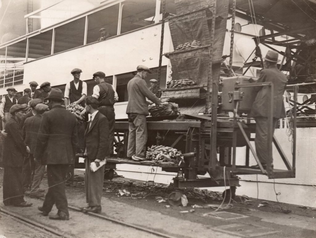 The Banana Trade Southampton collections online